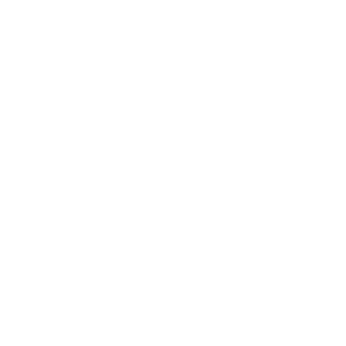 More Diverse Voices